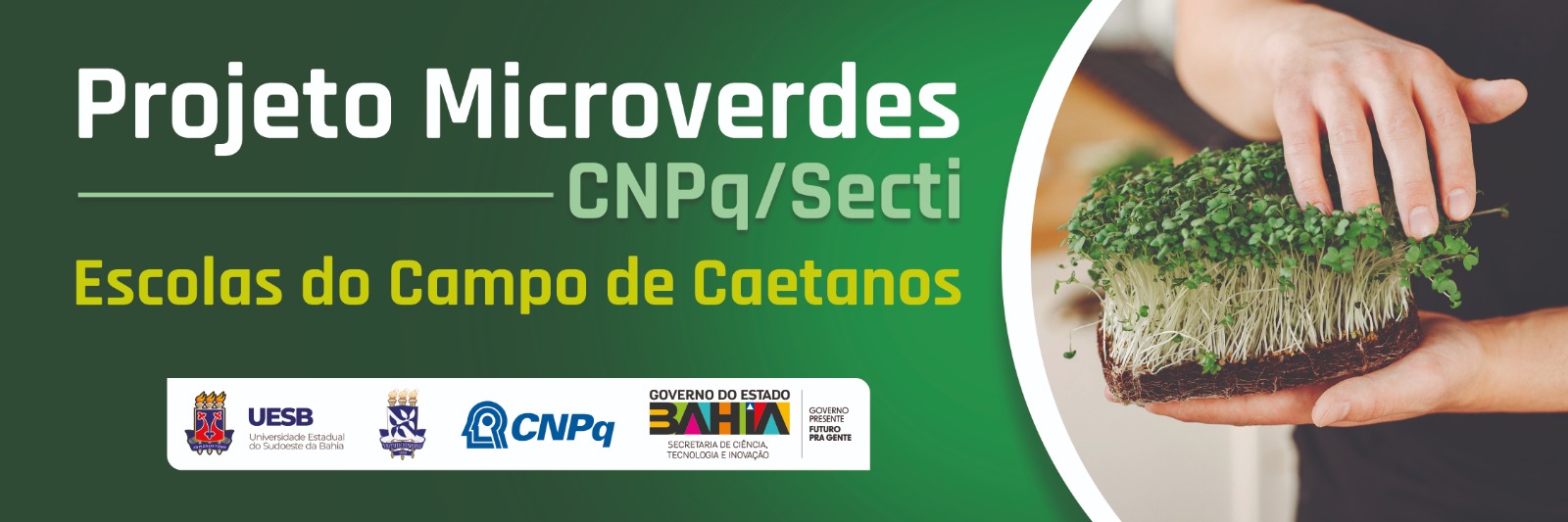 Faixa Microverdes Desfile Caetanos